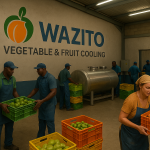 Solar Solution for Vegetable and Fruit Cooling